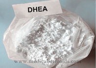 Polvo Dehydroepiandrosterone DHEA de Prohormone de la salud para la pureza del levantamiento de pesas el 99%