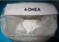 Polvo intermedio esteroide farmacéutico 4-DHEA de Prohormone para el músculo del levantamiento de pesas